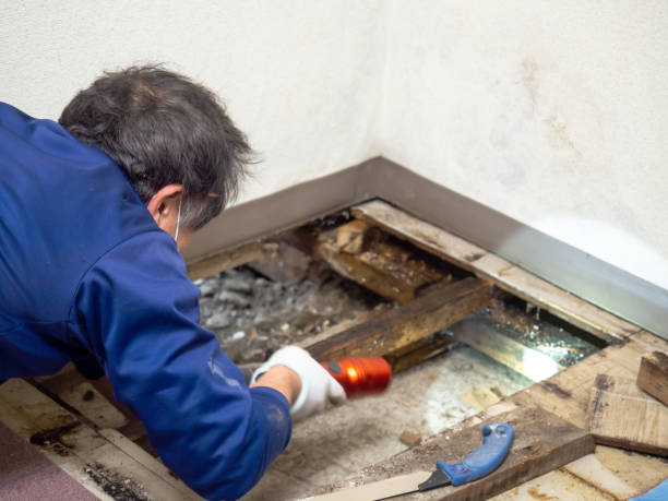 Best Professional Mold Removal  in Fairless Hills, PA